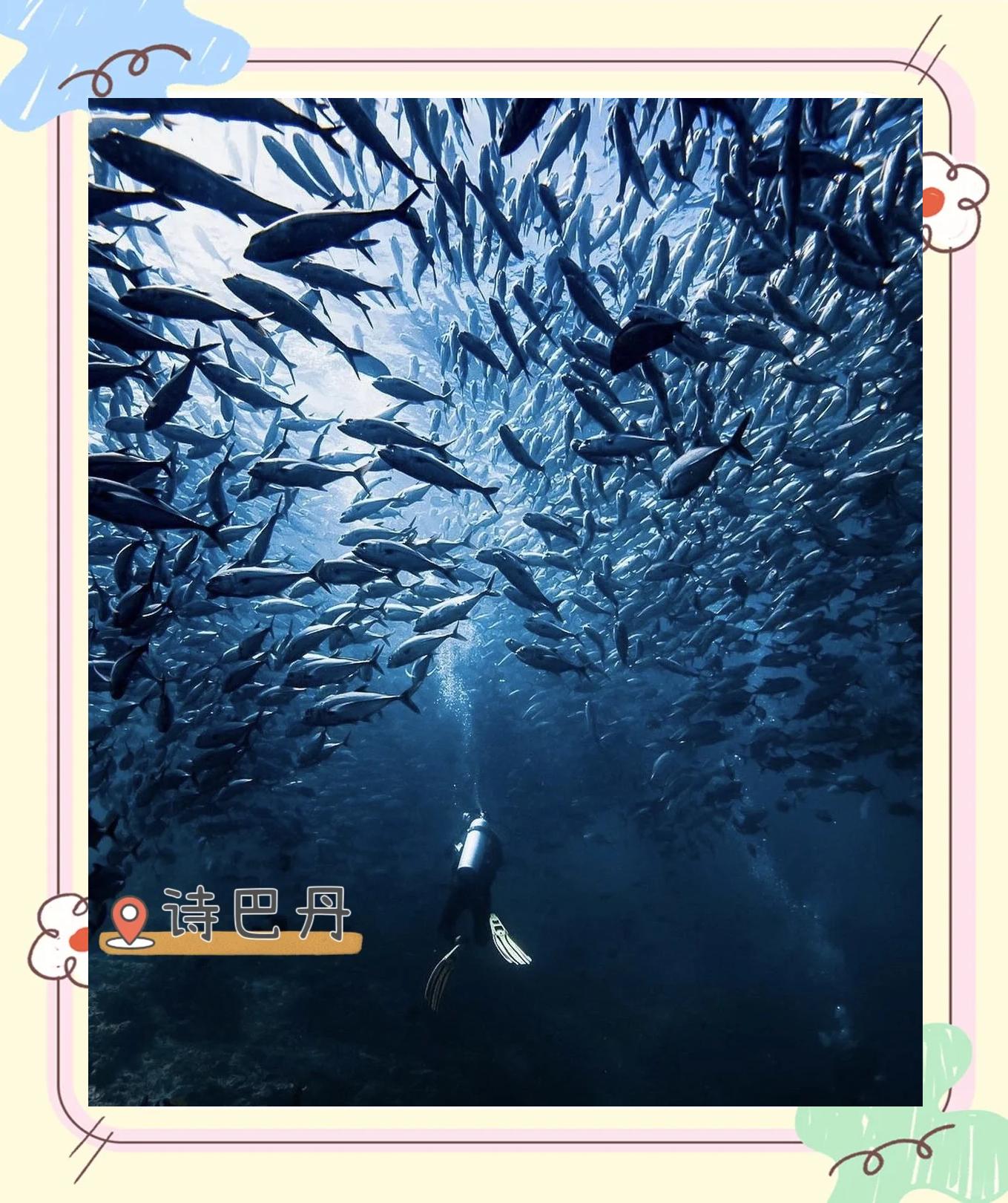 爱游戏体育APP下载-海洋水下潜水运动大会，探索深海的奥秘与壮丽的简单介绍