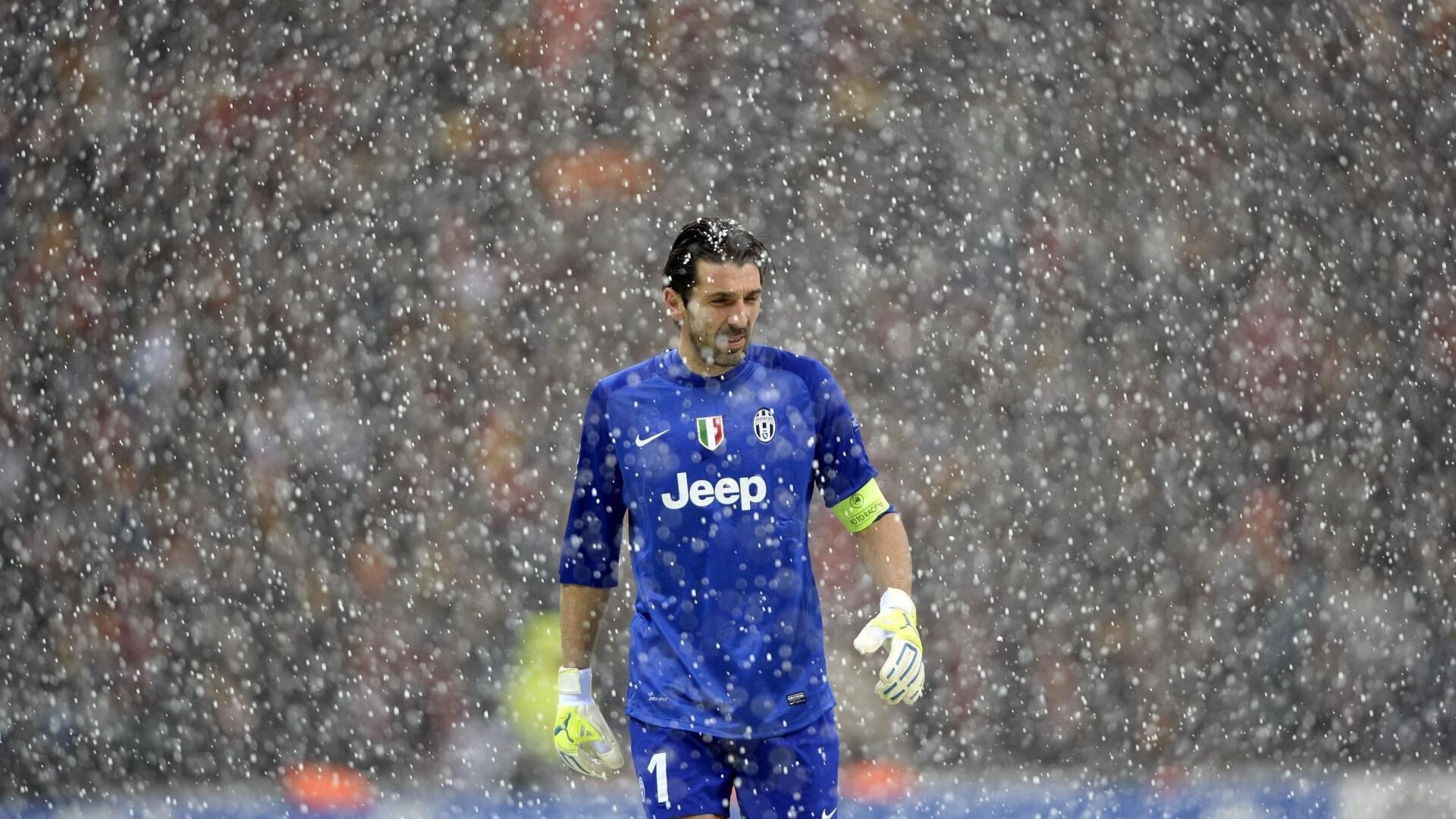 _良辰美景：高尔夫球场上的夏日盛会_，高尔夫球场风景