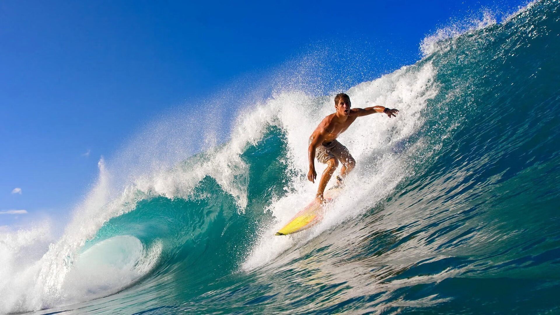 观众热情高涨：现场投票选出人气明星，明星人气榜投票通道